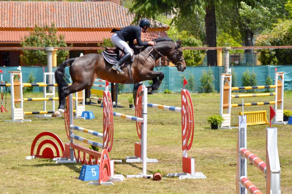 496297920 1133186502170215 6464636683378990854 n