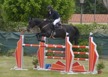 Más de 140 jinetes competirán este fin de semana en el Concurso Nacional de Salto Tres Estrellas de Alcalá