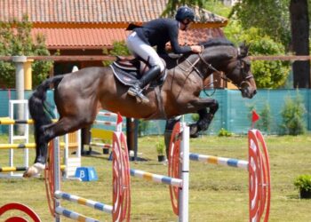 El Concurso Nacional de Salto Tres Estrellas de Alcalá convirtió la Hípica Militar en epicentro nacional del salto ecuestre