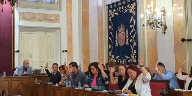 Pleno municipal Grupo socialista