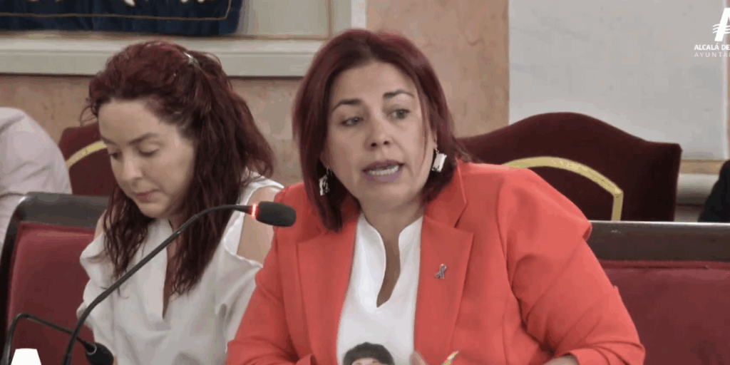 Rosa Romero Mas Madrid pleno