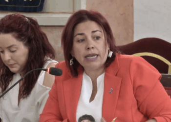 Más Madrid defiende la “política útil” de su propuesta sobre el Pablo Picasso tras el rechazo del Pleno