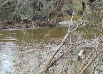 “El estado del río es desolador”: el concejal de Medio Ambiente exige a la Confederación Hidrográfica del Tajo una actuación inmediata en el Henares