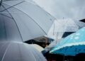 Alerta amarilla por tormentas y lluvias: los parques de Alcalá permanecerán cerrados este jueves