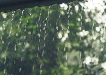 Aviso por Alerta Amarilla: La lluvia y el viento obligan a cerrar los parques de la ciudad