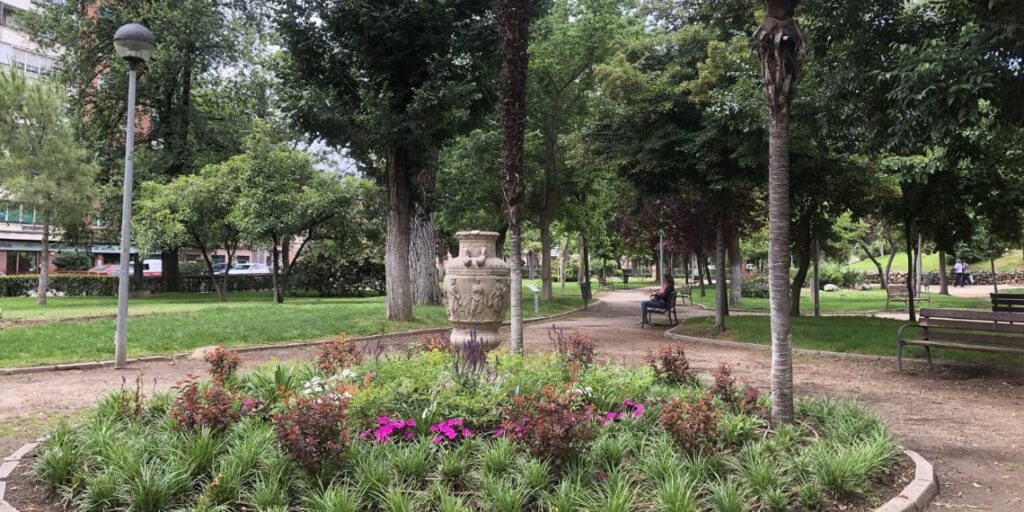 "Árboles del parque O'Donnell": la temporada ambiental cierra con una visita guiada para descubrir su biodiversidad 1 parque odonnell