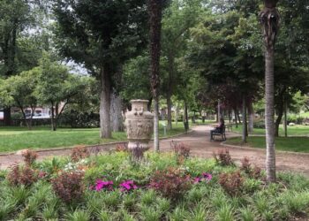 «Constructores de nidos» inaugura la temporada ambiental de la Casita del O’Donnell