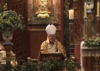 Reig Pla, obispo emérito de Alcalá, afirma que los niños con discapacidad nacen por «herencia del pecado» y «desorden de la naturaleza»