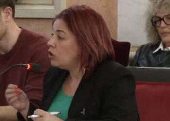 Más Madrid llevará al Pleno una batería de críticas sobre deporte, educación especial y medioambiente