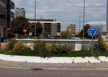 La Asociación de Vecinos denuncia el abandono prolongado de la rotonda de Garena Sur: «lleva meses, o incluso años, abandonado»