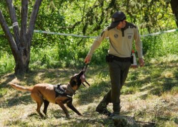 La unidad canina de los agentes forestales se refuerza con perros rescatados para la lucha contra incendios y delitos ambientales