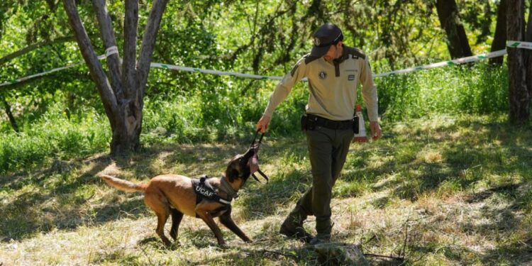unidad canina agentes forestales