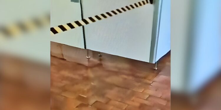 vestuarios polideportivo espartales