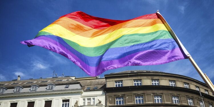 Alcalá de Henares celebra el Orgullo 2025 con música, danza y visibilidad en el centro de la ciudad 1 bandera orgullo