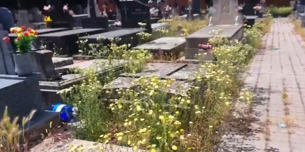 Los sindicatos municipales denuncian el "salvaje deterioro" del Cementerio de San Roque 1 cementerio de san roque