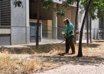 El Partido Popular acusa a Más Madrid de «llegar tarde» y buscar «titulares fáciles» mientras defiende su plan de desbroce municipal