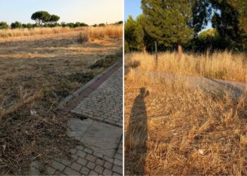 «¿Esto es lo que llaman un desbroce?»: vecinos de Espartales denuncian falta de mantenimiento real y alertan del riesgo de incendios