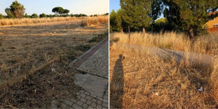 "¿Esto es lo que llaman un desbroce?": vecinos de Espartales denuncian falta de mantenimiento real y alertan del riesgo de incendios 1 desbroce espartales