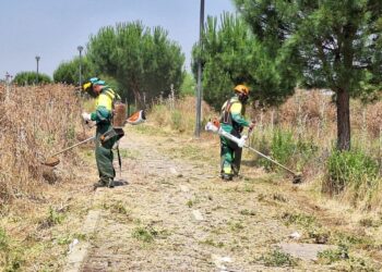 El Ayuntamiento activa un ‘plan de choque’ ante la expansión de vegetación en barrios y parques