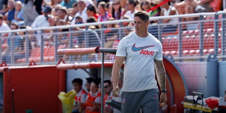 fernando torres