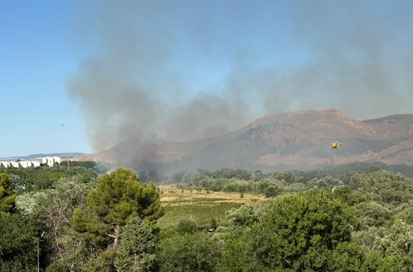 Declarado un incendio forestal en las inmediaciones de la Isla del Colegio junto al recinto ferial 3 521004059 1387501942543451 4264680980843317060 n