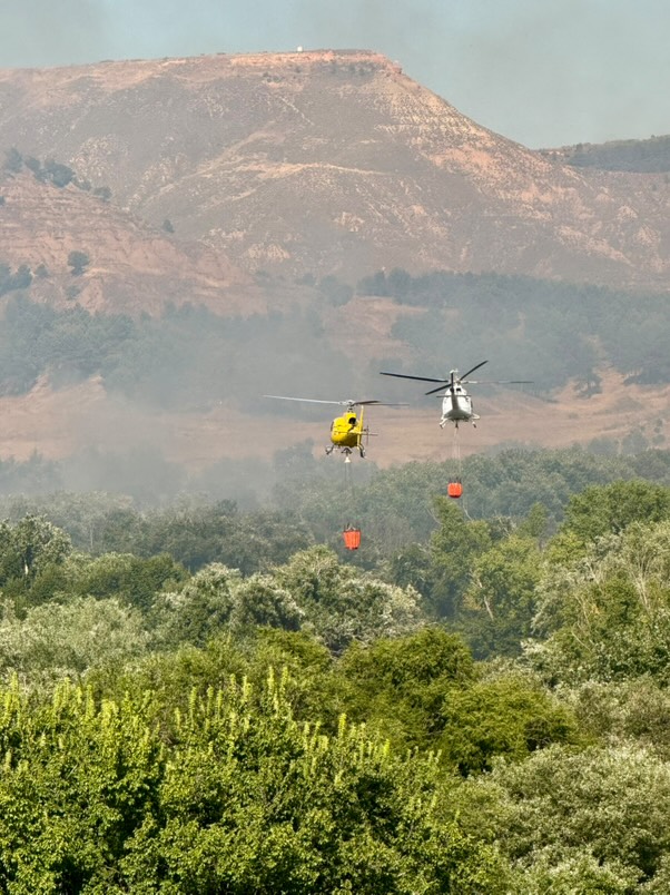 Declarado un incendio forestal en las inmediaciones de la Isla del Colegio junto al recinto ferial 5 521091599 1247168573863832 2903381757178072719 n