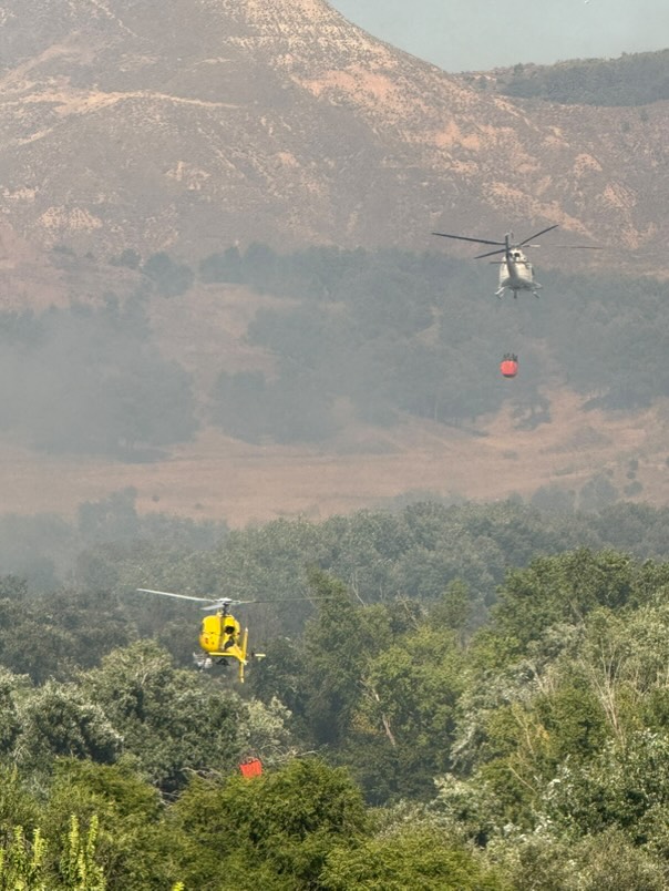 Declarado un incendio forestal en las inmediaciones de la Isla del Colegio junto al recinto ferial 6 521181798 1972429193567372 8504748504474306323 n