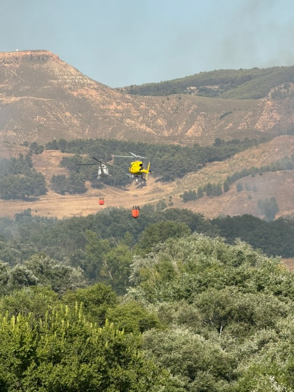 Declarado un incendio forestal en las inmediaciones de la Isla del Colegio junto al recinto ferial 8 521587524 3223517484466306 6667848160800991997 n