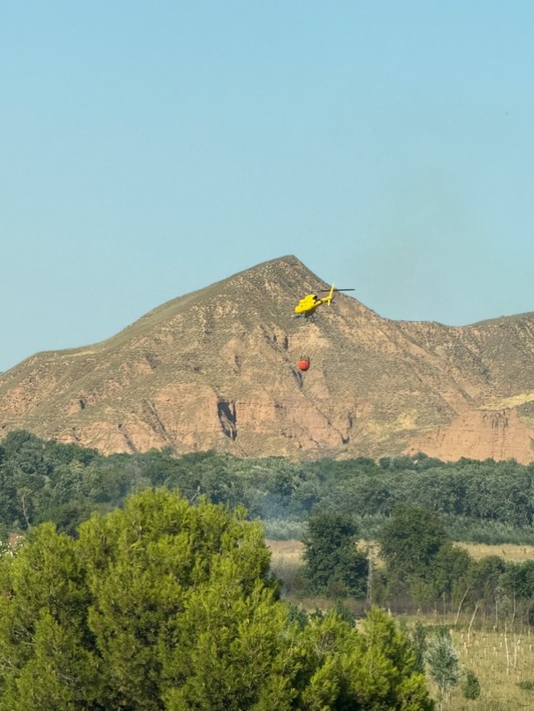 Declarado un incendio forestal en las inmediaciones de la Isla del Colegio junto al recinto ferial 13 523358061 1417762262827020 2493297251023152135 n