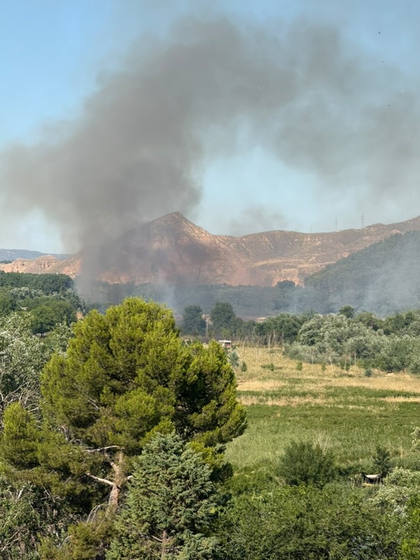 Declarado un incendio forestal en las inmediaciones de la Isla del Colegio junto al recinto ferial 10 523486860 979186264236202 6914199233829538565 n