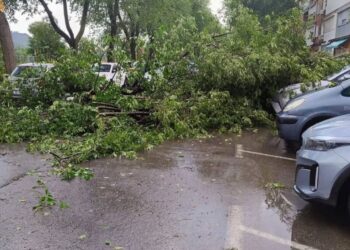 Una tormenta de verano sorprende a Alcalá con lluvias torrenciales, fuertes rachas de viento y árboles caídos