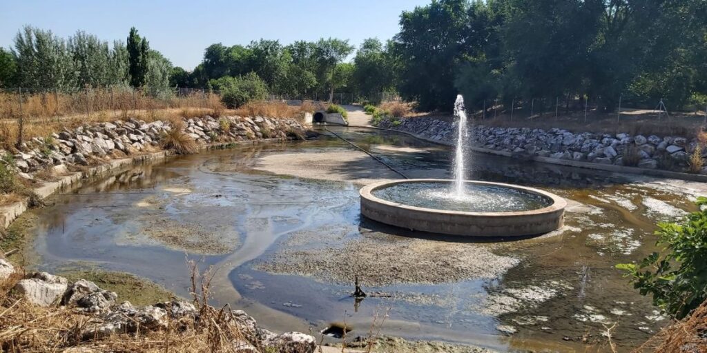 “¡Basta ya de abandono!”: Espartales Unidos exige soluciones en el arroyo Camarmilla 1 estado abandono arroyo camarmilla