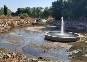 “¡Basta ya de abandono!”: Espartales Unidos exige soluciones en el arroyo Camarmilla