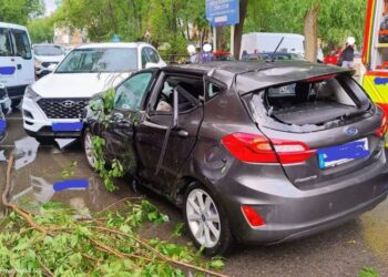 Un herido y acceso cortado durante 46 minutos tras la caída de un árbol en Camino del Juncal