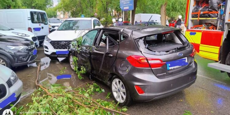 herido caida arbol juncal