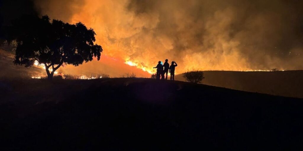 incendio forestal