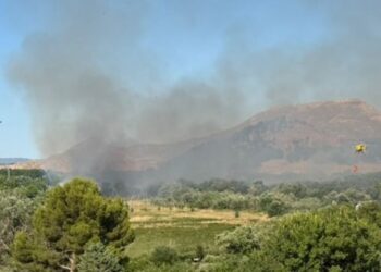 Declarado un incendio forestal en las inmediaciones de la Isla del Colegio junto al recinto ferial