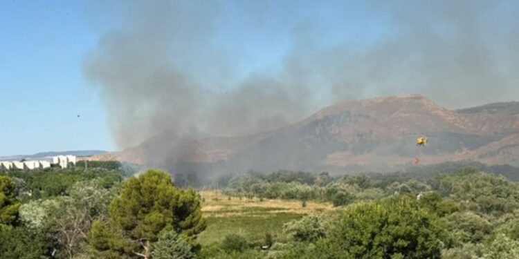 Declarado un incendio forestal en las inmediaciones de la Isla del Colegio junto al recinto ferial 1 Imagen cedida por un vecino