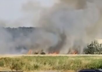 Un incendio en la Isla de los García activa de nuevo los servicios de emergencia en Alcalá