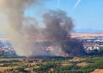 Los incendios del sábado prenden la mecha del debate sobre el cuidado y mantenimiento de la ciudad