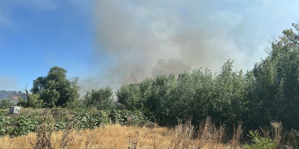 incendio pasto isla del colegio