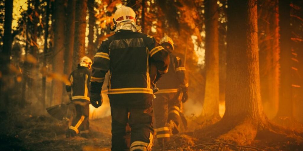 incendios forestales comunidad de madrid
