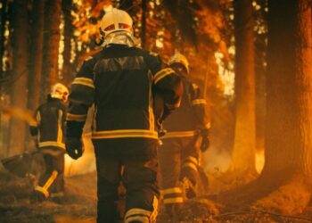 Nivel extremo de riesgo por incendios forestales: el calor, el viento y la baja humedad disparan las alertas