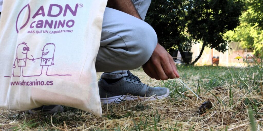 El Ayuntamiento amplía la campaña de ADN canino para controlar la presencia de excrementos en la vía pública 1 muestras adn canino
