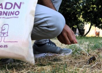 El Ayuntamiento amplía la campaña de ADN canino para controlar la presencia de excrementos en la vía pública