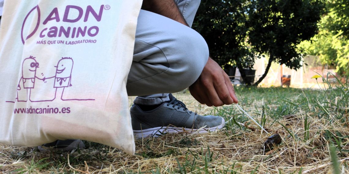 El Ayuntamiento amplía la campaña de ADN canino para controlar la presencia de excrementos en la vía pública 1 muestras adn canino