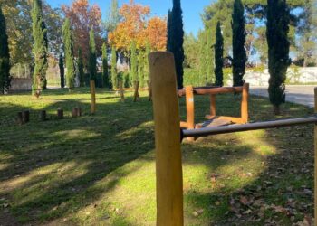 La Asociación de Vecinos Reyes II se reúne con el concejal de Medio Ambiente para abordar necesidades del barrio