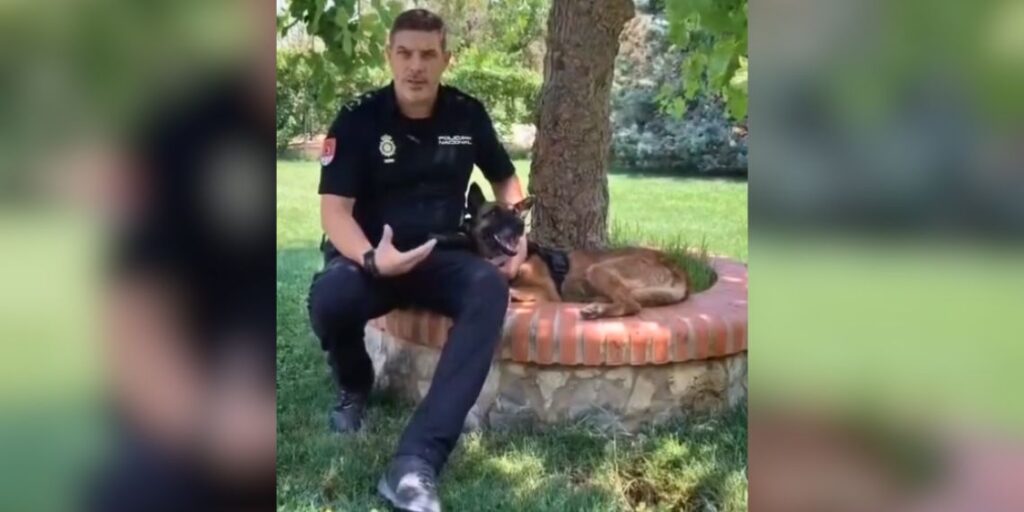 policia nacional golpe de calor perros