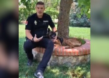 La Policía Nacional advierte sobre el riesgo de golpe de calor en perros durante el verano