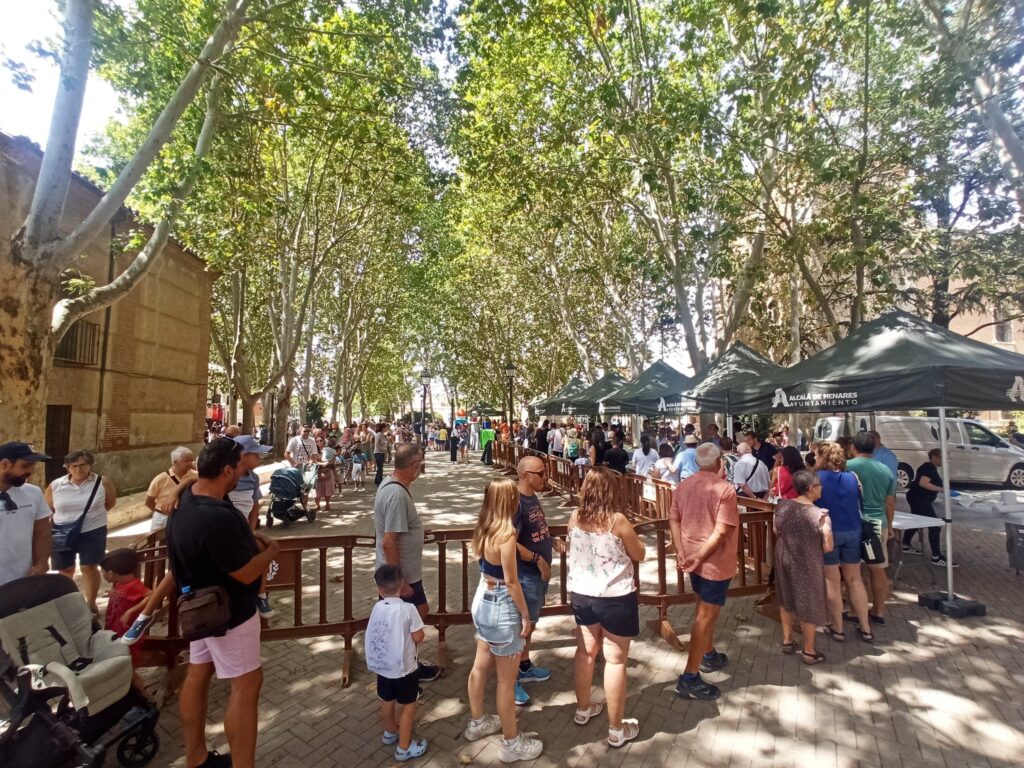 Multitudinario desfile de Gigantes y Cabezudos en el centro de Alcalá durante las fiestas de los Santos Niños 5 528320795 1201945981960933 1073295294956491837 n